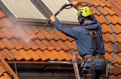 Démoussage et hydrofuge de toiture à Chantepérier